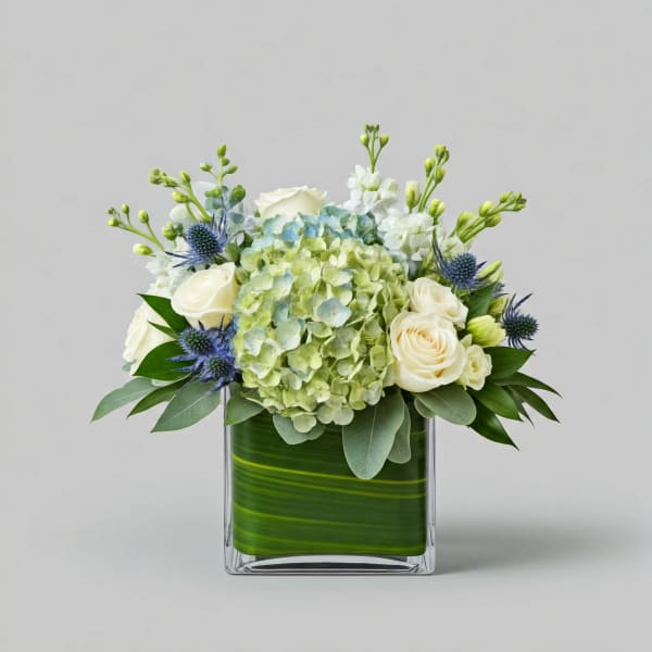 White roses and blue thistle in a square glass vase with green hydrangea