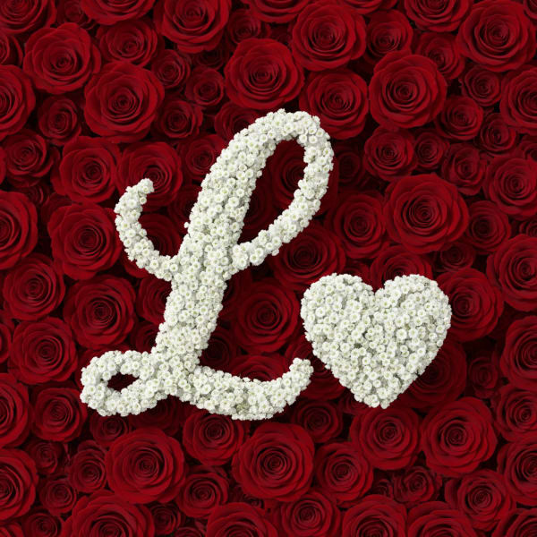 Baby's Breath Letter - L