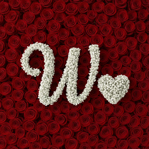 Baby's Breath Letter - W