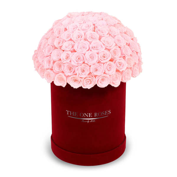 Pink roses arranged in a red velvet hat box