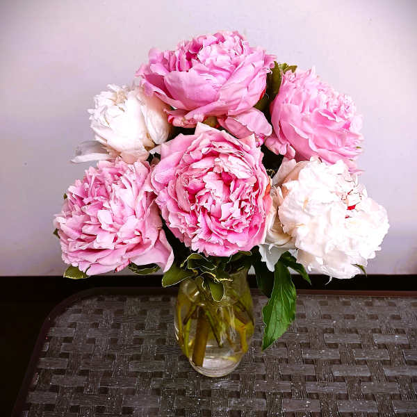 Pink and white peonies arranged in a glass vase