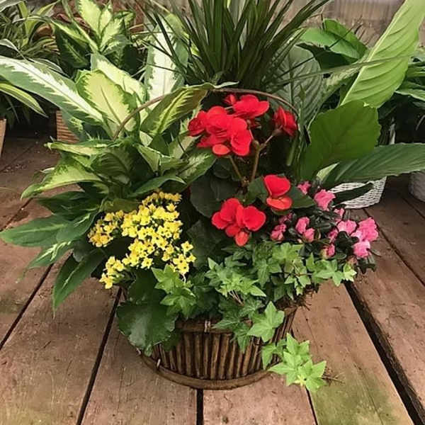 Basket arrangement with red, pink, and yellow flowers among assorted green plants