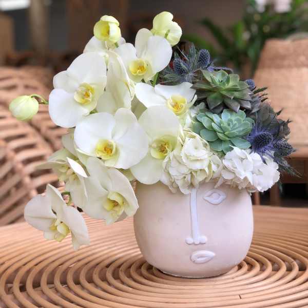 White orchids and succulents arranged in a pale ceramic face vase