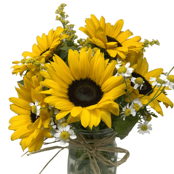 Sunflowers & Mason Jar