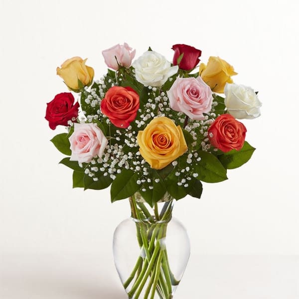 1 Dozen Multicolored Roses
