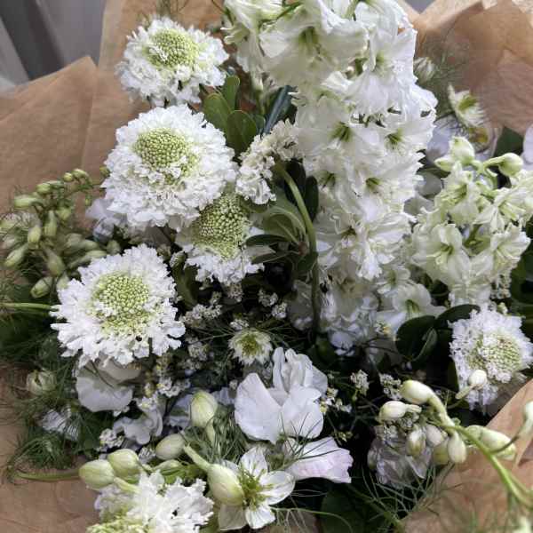 No Color, No Problem