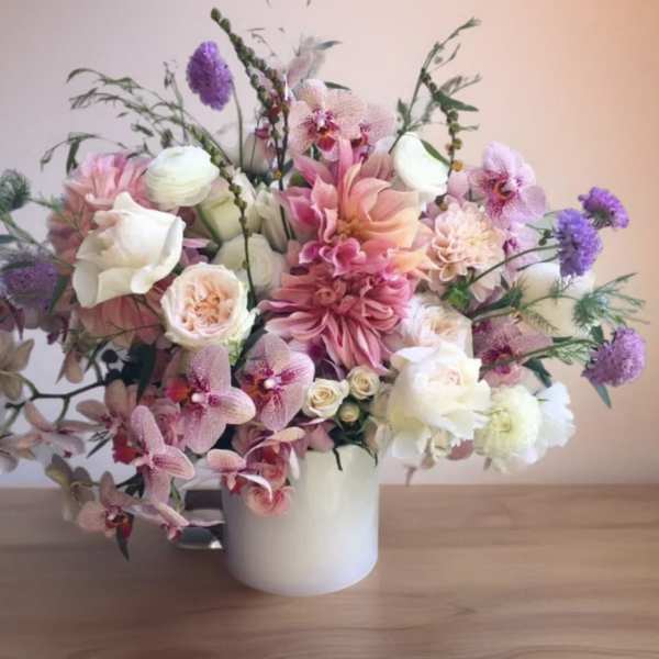 delightful celebration