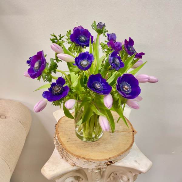 Purple anemones and pale pink tulips in a clear glass vase