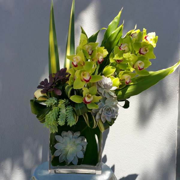 Green orchid and succulent arrangement in a clear rectangular vase
