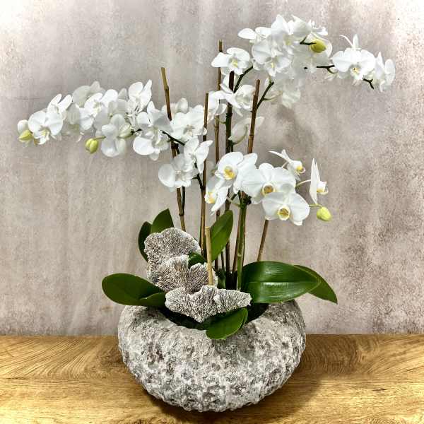White orchid arrangement in a textured stone planter