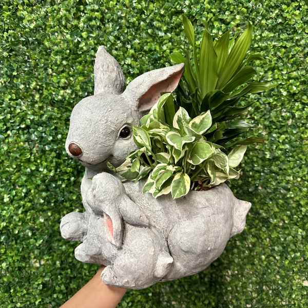 Gray rabbit planter holding a small variegated plant