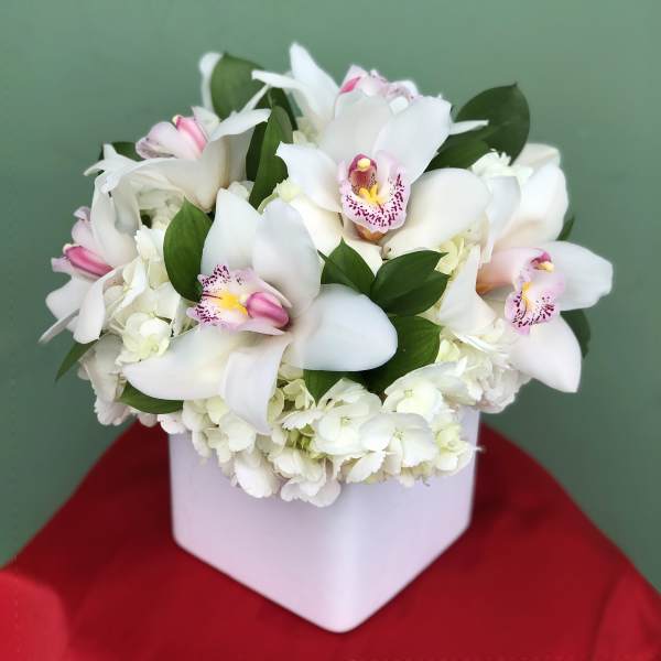 White orchids and hydrangeas arranged in a white box