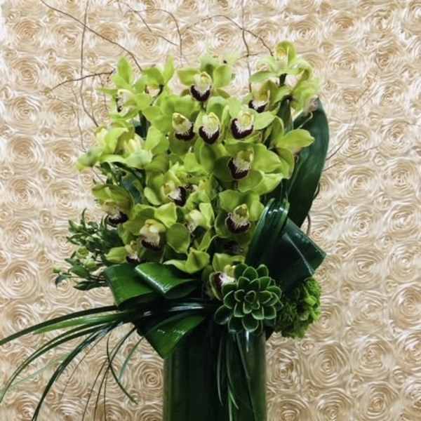 Green orchid arrangement in a tall glass vase with dark ribbon accents