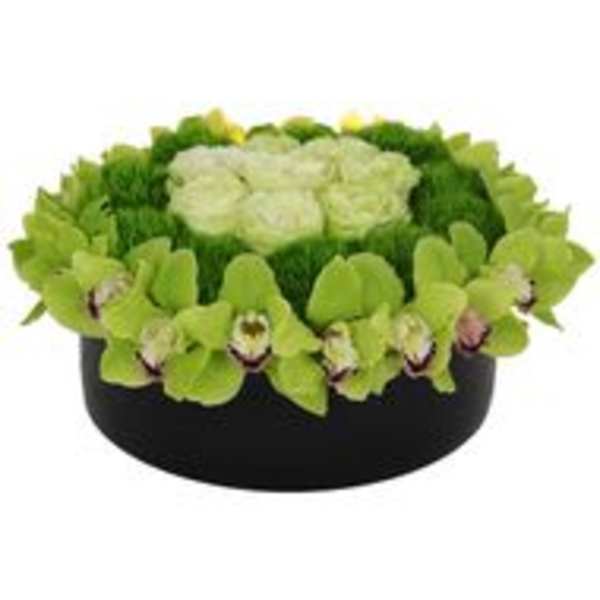 Green orchid arrangement in a black round container
