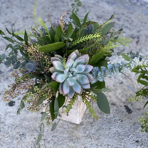 Succulent arrangement with eucalyptus and mixed greenery in a white container
