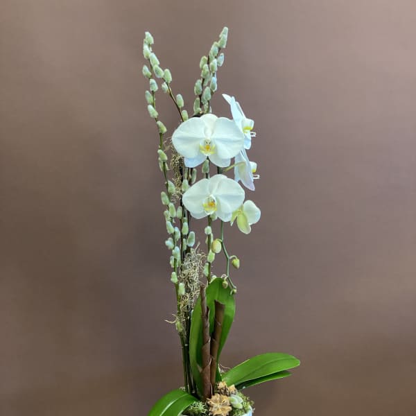 White orchid plant in a white pot with a small candle in front