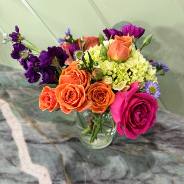 Bright little Beauty