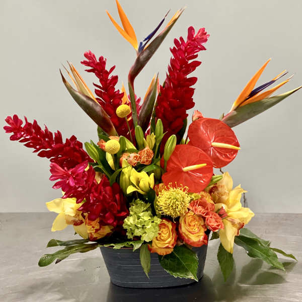 Tropical arrangement with red ginger, birds of paradise, anthurium and mixed bright flowers in a gray ceramic container