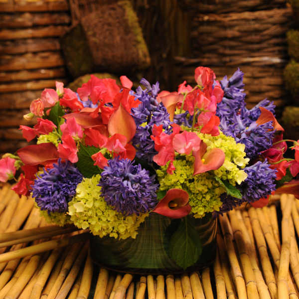 SPLASHY GARDEN MIXED ARRANGEMENT