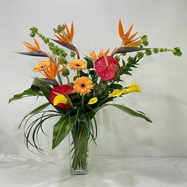Tropical arrangement with orange birds of paradise, red anthuriums, and yellow calla lilies in a glass vase