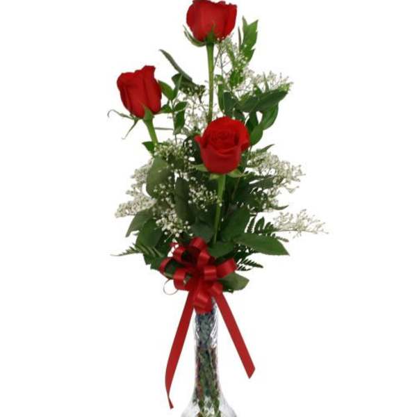 Timeless Love Rose Trio