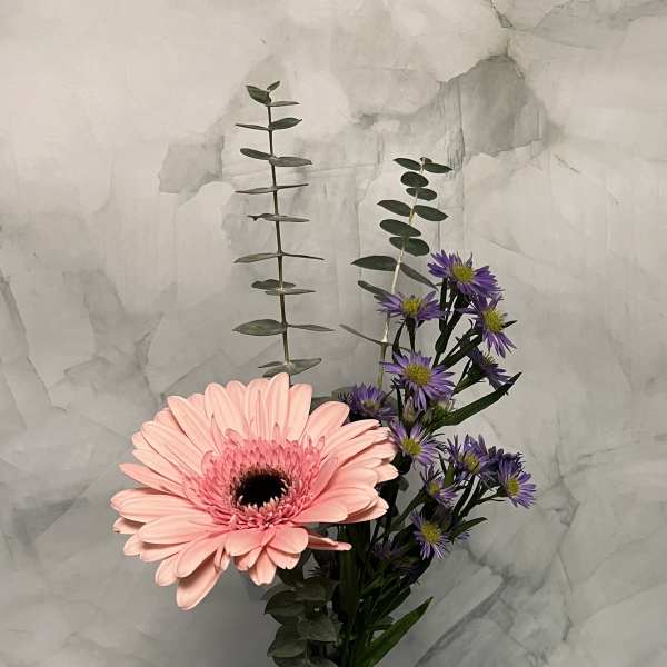 Pink gerbera daisy and purple asters in a glass vase with a bow.
