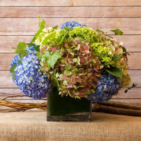 CLASSIC HYDRANGEA ARRANGEMENT