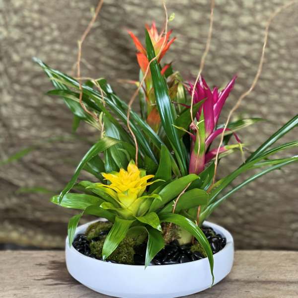 Tropical plant arrangement in a white bowl with yellow and pink blooms