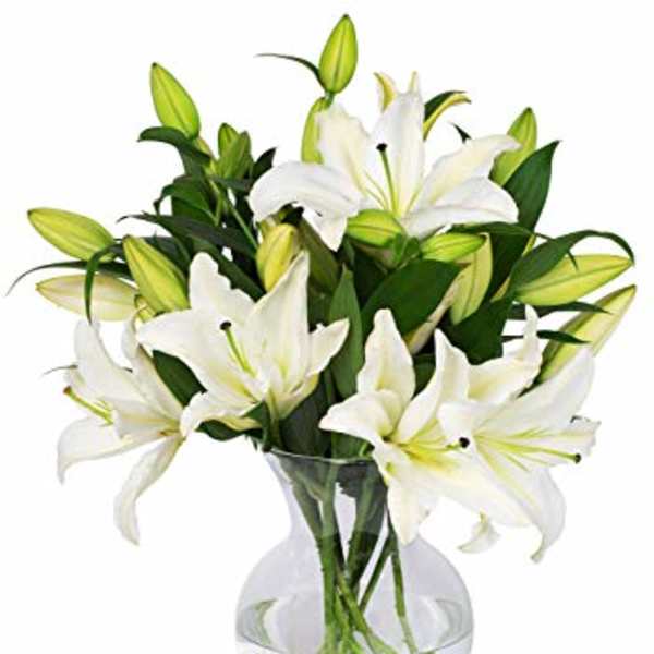 White lilies arranged in a clear glass vase