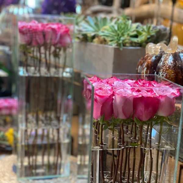 Tall glass vase of pink roses with submerged stems in a modern vertical design