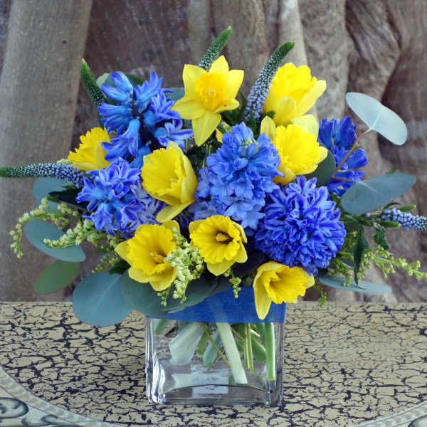 Compact arrangement of yellow daffodils and blue hyacinths in a clear square glass vase