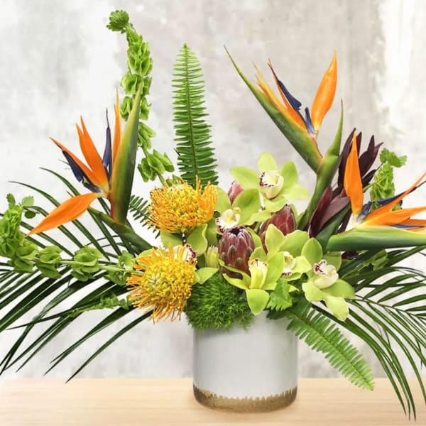 Tropical flower arrangement with orange bird-of-paradise and green orchids in a white vase