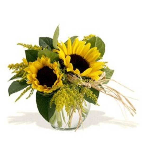 Sunflower arrangement in a clear glass vase