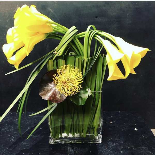 Yellow calla lilies in a clear glass vase with a yellow spider chrysanthemum