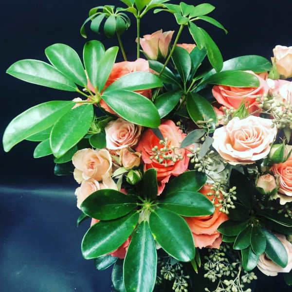 Bouquet of peach roses with glossy green foliage