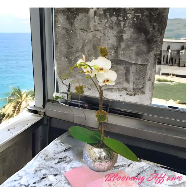 White orchid in a silver vase on a table by a window