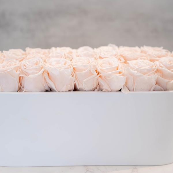Blush Roses in Oval White Container