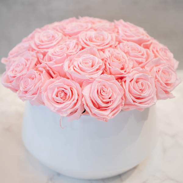 Pink Roses in Round White Container