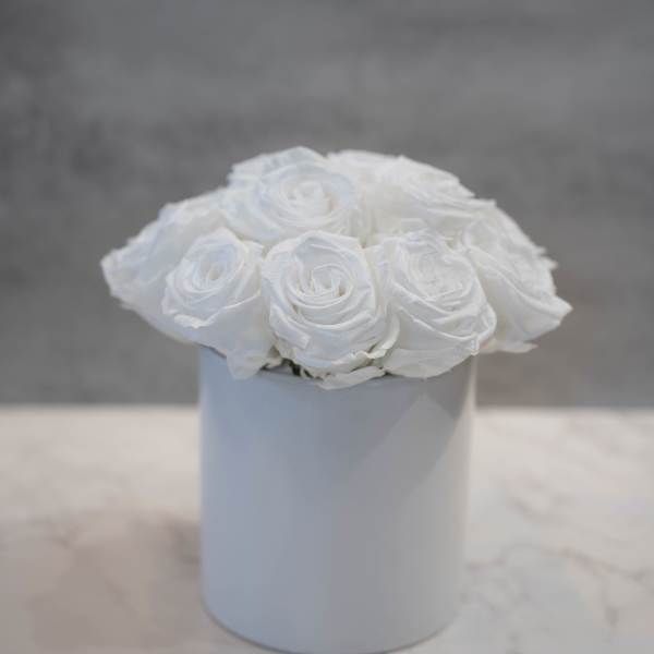 White Roses in White Cylinder