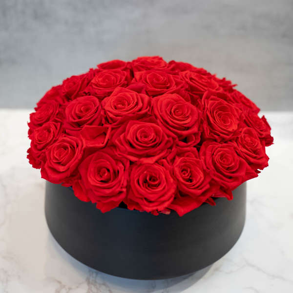 PRESERVED Red Roses in Black Ceramic
