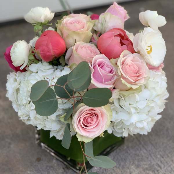 Pink and white roses with white hydrangeas in a square vase
