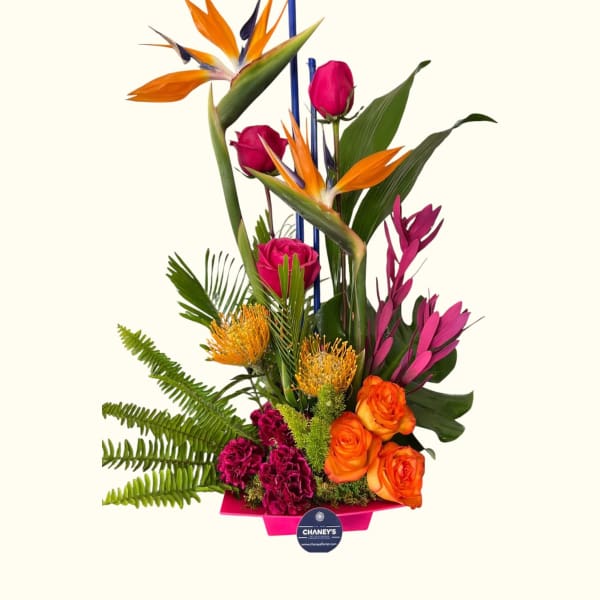 Tropical bouquet with orange bird-of-paradise and pink roses in a pink container