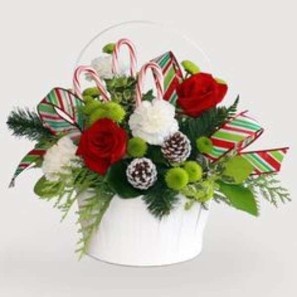 Holiday bouquet with red and white roses in a white container