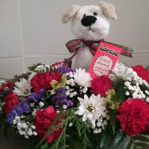 Stuffed dog above a colorful flower arrangement with a card
