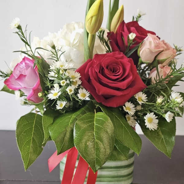 Stacie's Love and Affection