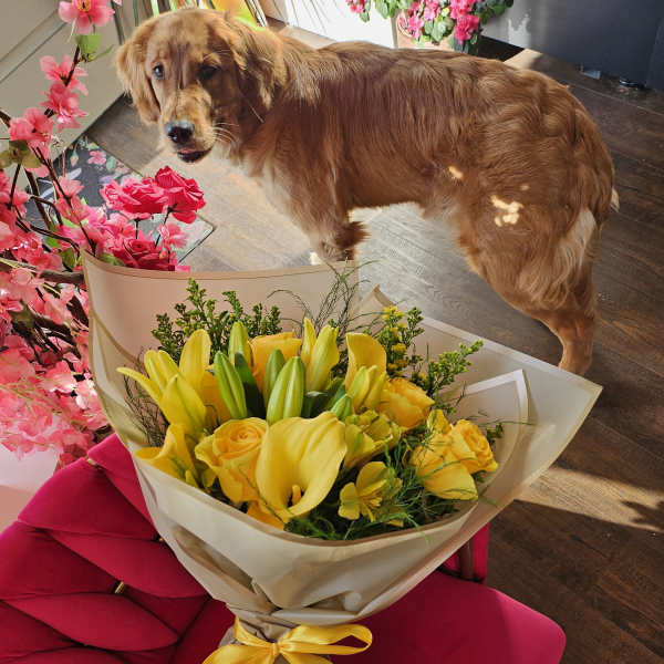 Yellow bouquet with lilies, roses, and calla lilies on a pink chair