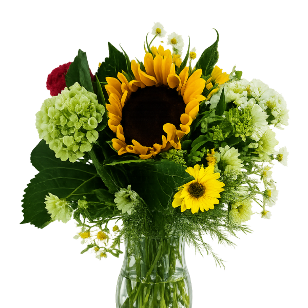 Summer Garden Deal of the day with fudge