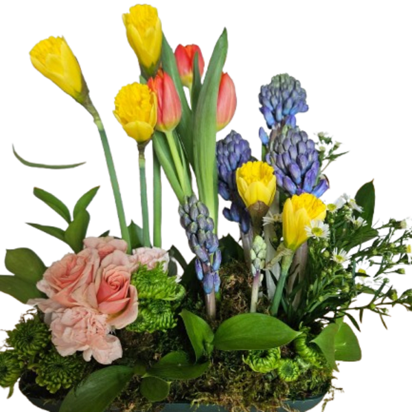 Spring Bulb Blossom Garden