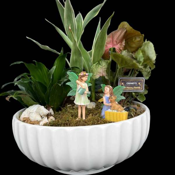 Miniature potted plant arrangement in a white bowl with fairy figurines