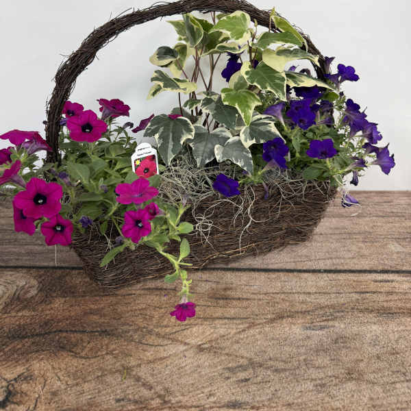 Annual Basket Medium